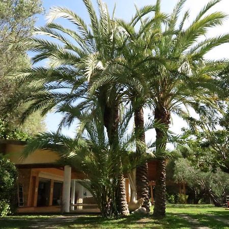Villaggio Garden Park Marina di Camerota Exterior photo