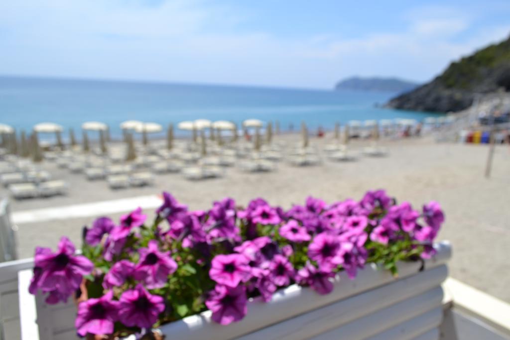 Villaggio Garden Park Marina di Camerota Exterior photo